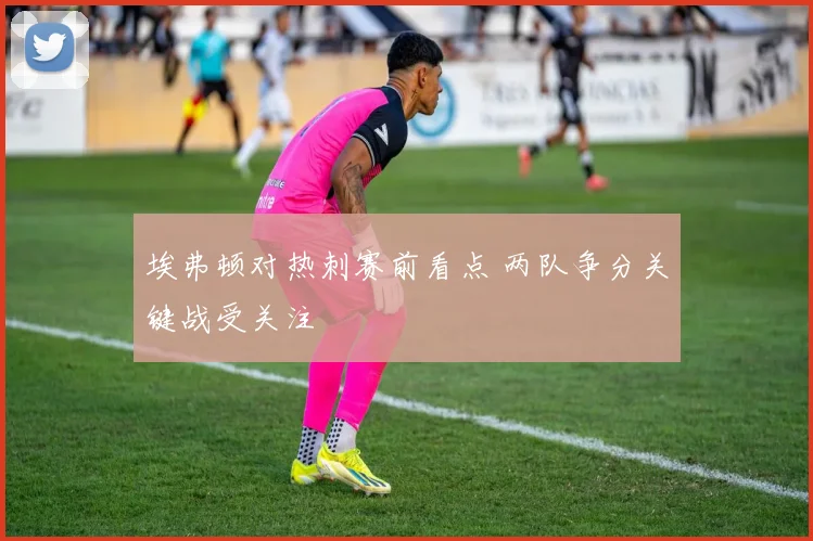 埃弗顿对热刺赛前看点 两队争分关键战受关注