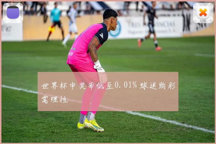 世界杯中奖率低至0.01% 球迷购彩需理性