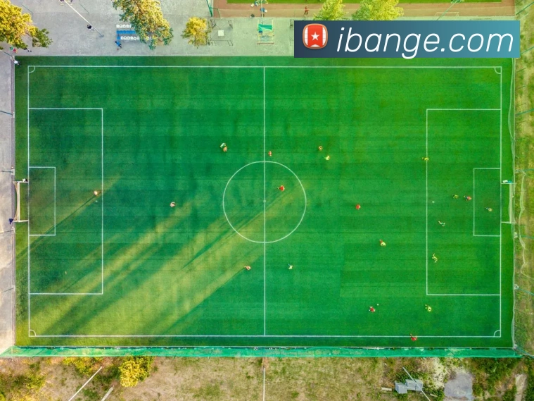 App Interface Preview