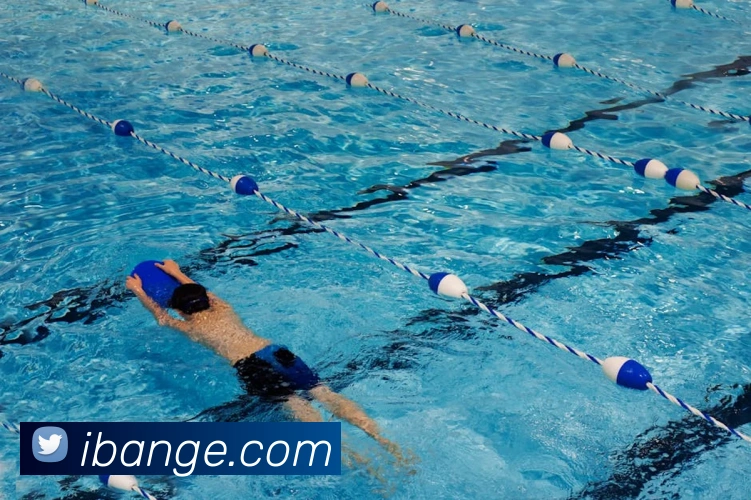 世界杯官网登录appAPP 封面图